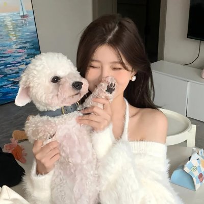 美食妙探